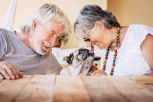 Elderly Loved Ones with Pets: Senior Home Care Palm Beach FL